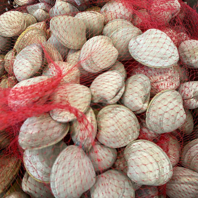 Clams Middleneck (25 count/ bag) Main Image